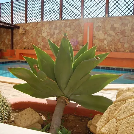 El Mosaico Del Sol 4*